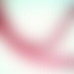 Bilharzia. view of a pair of Schistosoma mansoni. the larger male is shown brighter, the darker, ...