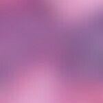 Lymphocytic infiltration of the skin. Detailausschnitt: Dicht gestaffeltes Infiltrat aus kleinen ...