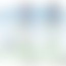 IFN-aktivierte ISG-Transkription, die durch ISGF3-, GAF- und STAT2/IRF9-Komplexe vermittelt wird....