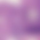 Tricheopitheliom: Konvolut epithelialer, stellenweise trichoid differenzierter Epithelkonvolute m...