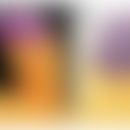 Escherichia coli: Attachment des Bakteriums an die Oberfläche des Enterozyten. Entommen aus: Fran...